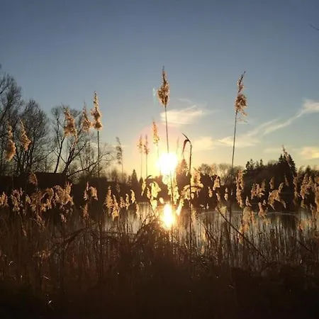 Bibernest بيت للعطل *