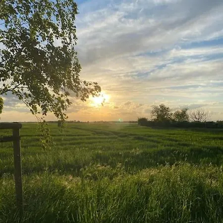 Bibernest 펜션 Ziethen (Vorpommern-Greifswald)