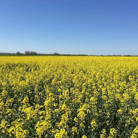 Bibernest * Ziethen (Vorpommern-Greifswald)