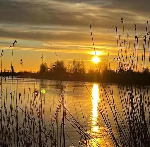 Дом отдыха Bibernest