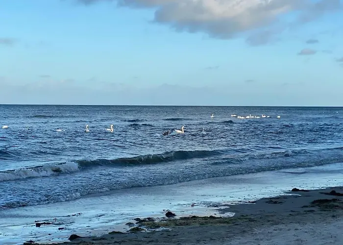 Дом отдыха Bibernest