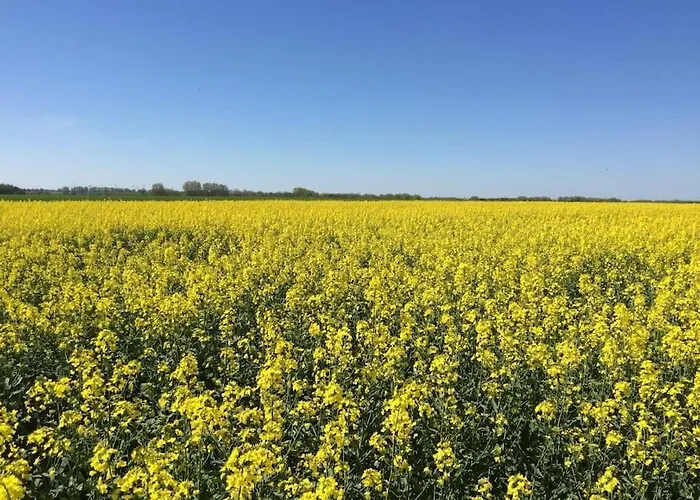 Bibernest * Ziethen (Vorpommern-Greifswald)